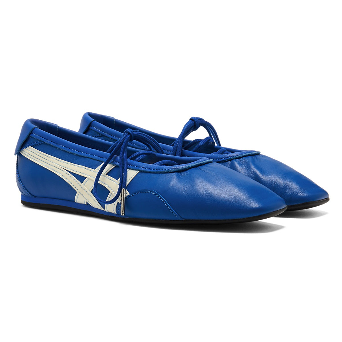 Gymnarina Dazzling Blue/Cream