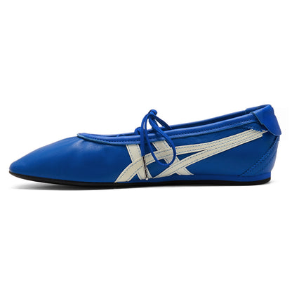 Gymnarina Dazzling Blue/Cream