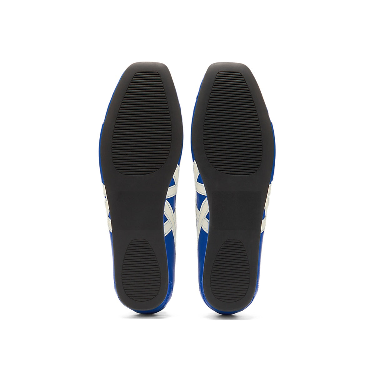 Gymnarina Dazzling Blue/Cream