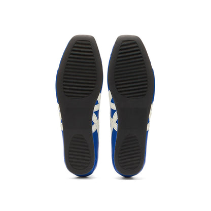 Gymnarina Dazzling Blue/Cream
