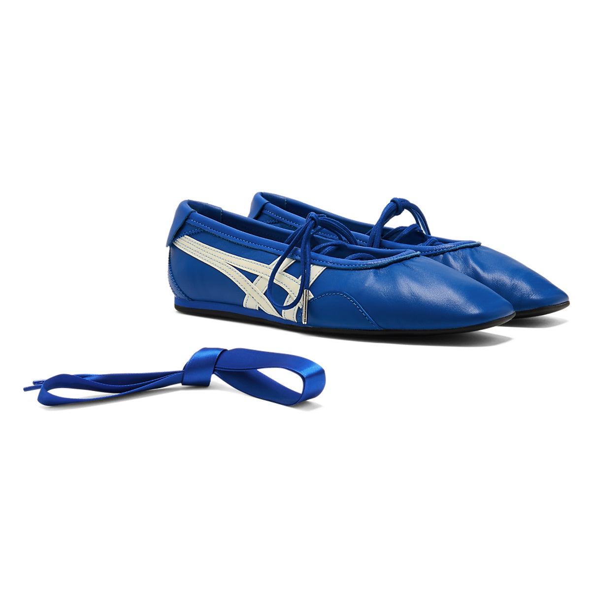 Gymnarina Dazzling Blue/Cream