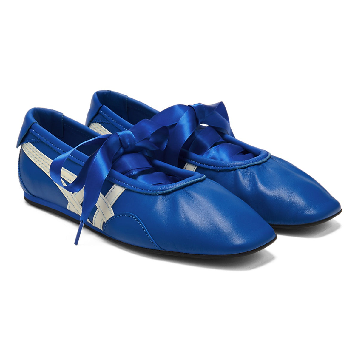 Gymnarina Dazzling Blue/Cream