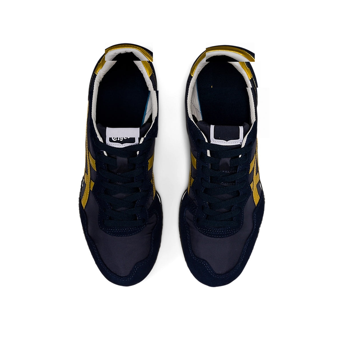 Serrano Midnight/Pure Gold