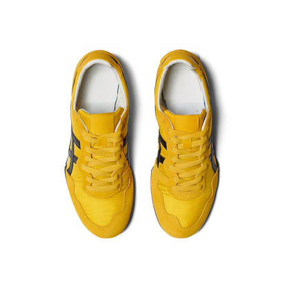 Serrano Yellow/Black